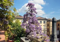 Arnaboldi Palace Hotels in Bressana Bottarone