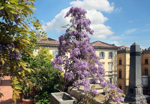 อาร์นาโบลดิ พาเลซ