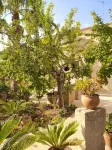 Giardino Frannicola Hotels in Scorrano