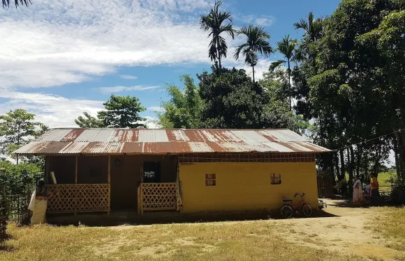 迪布魯加爾茶園家庭旅館