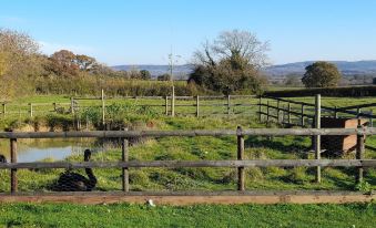 Knoll Hill Farm, the Place to Stay