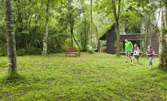 Rockwood Karkloof Forest Lodge & Mountain Cabin