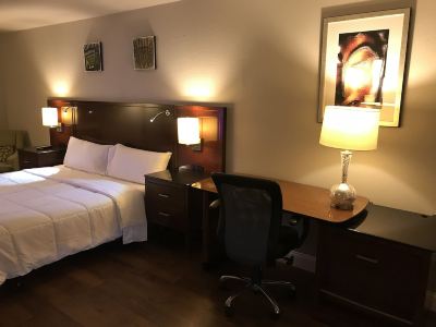 Luxury Suite, 1 King Bed, Refrigerator & Microwave