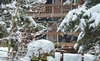 Abant Dere Otel - Housity