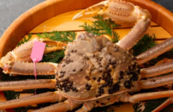 Shibayama Onsen Maruya