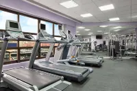 Ramses Hilton - Gym