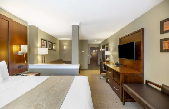 卡爾斯巴德舒適套房酒店