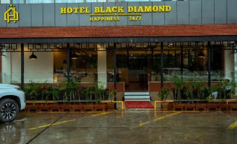 Hotel Black Diamond - Inside Airport