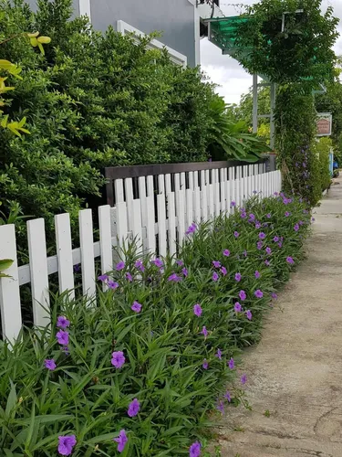 รูปภาพของบ้านพักณัฐรินีย์