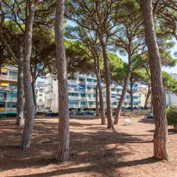 La Pineta