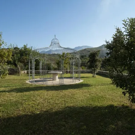 Collina Degli Ulivi B&B