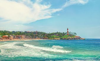 Soma Palmshore