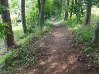 Boseong Saengtae Masil Pension Hotels in Boseong-gun