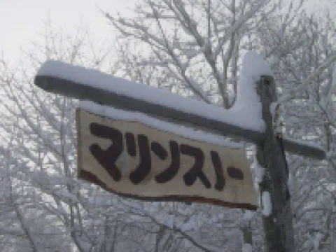 膳食 海洋雪