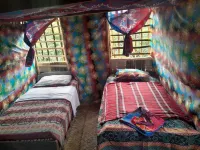 Glowing Mountain View Tree House Hotels in 