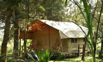 Red Rocks Rwanda - Safari Tent Twin