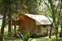 Red Rocks Rwanda - Safari Tent Twin