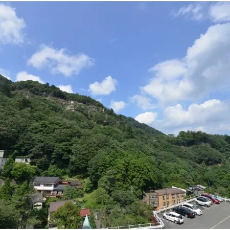 Hotel de Marronnier Yunoyama-Onsen