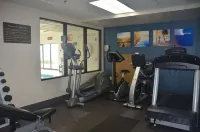 Comfort Inn & Suites Maumee - Toledo I80-90 - Gym
