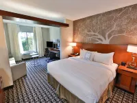Fairfield Inn & Suites Savannah Midtown Hotels near Laroche Park