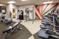 Hilton Garden Inn Chicago O'Hare Airport - gimnasio