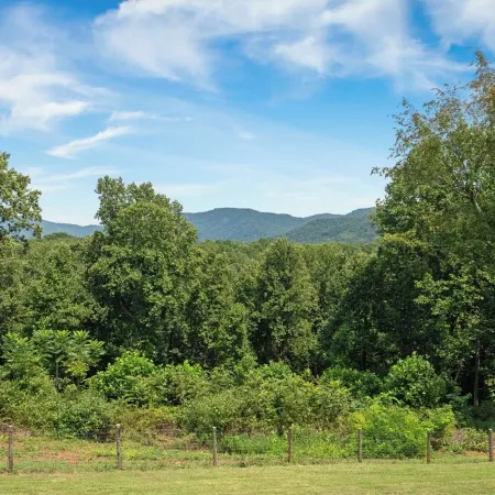 Luxury Cabin on 6 Acres w/ Mountain Views Near Nelson 151 & Wintergreen
