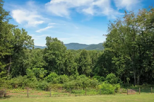 Luxury Cabin on 6 Acres w/ Mountain Views Near Nelson 151 & Wintergreen