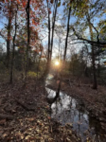 Tranquil cabin with AC and 2 creeks on secluded 5 acres with WiFi