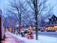 Town walking distance-Bridgehampton Cottage