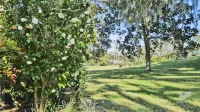 The Treehouse: Minutes from WEC and HITS; Dog-Friendly; w/Golf Course Views Hotels near World Equestrian Center