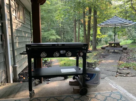 4PelicansOhio: Relaxing Cabin Near Leesville Lake ~Pets Welcome~ 2 Queens & 1F Отели в г. Кэрролл