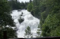 'Fantastic Location In Downtown Brevard'