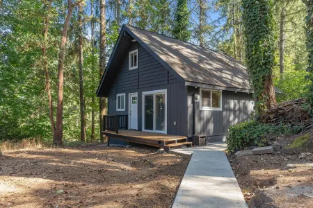 FREE Hot Tub Use + LV 2 EV Charging! Cozy Cabin - 5 min from Belfair State Park