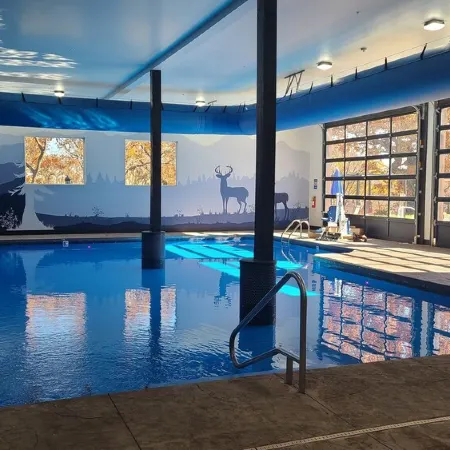NEW INDOOR POOL 6BR 6BA Cabin Sleeps 22 By Silver Dollar City & Table Rock Lake