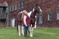 Beautiful Colonial Farm House on a working horse farm!