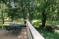 FARM ANIMALS: RESCUES, Mini HORSES and mini DONKEYs;