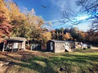 RealTree Camo Cabin 2