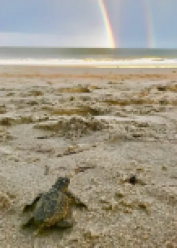 Ideal Location for marine graduation or lowcountry getaway!