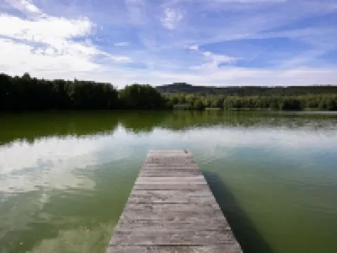 House "Ronny" Hoteles en Bad Brambach