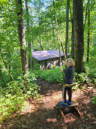 Fern Hill Cabin - near Dupont State Forest Отели в г. Данс Рок