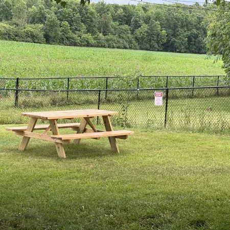Three Oaks Home • Walk Downtown • Fire Pit • Near Beaches & Wineries • Sleeps 8