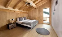 Chalet 15 persons Cocon des neiges resort center Les Gets/ all comfort Hotels near La Ferme de Caroline