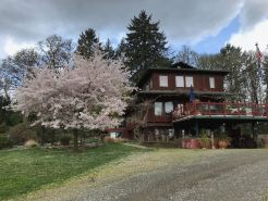 Contemporary Flat on a Christmas tree farm 5 Minutes to Oregon State University