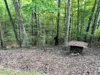 Cozy 2-bedroom, one bath cabin in amazing Blue Ridge with Wi Ac