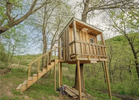 Buffalo County Log Cabin w Guesthouse and pool