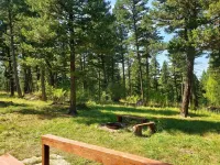 Remote cabin on 40 acres with wildlife and no distractions.