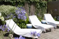 'LE PARADIS BLEU' house "feet in the water" and facing the typically Breton port Hotel a Plouescat