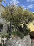 Quiet vacation home, sun terrace, sea view, 3km to the beach (008024-LT-0073)