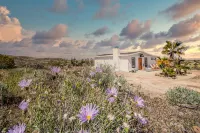 Boutique Desert Retreat