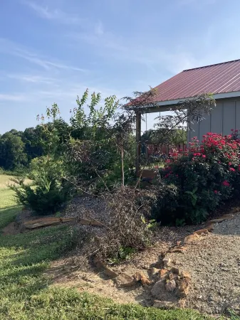 One room cabin set on our farm for a peaceful getaway.